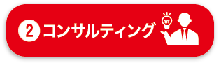 システムコンサルティング