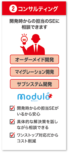 システムコンサルティング